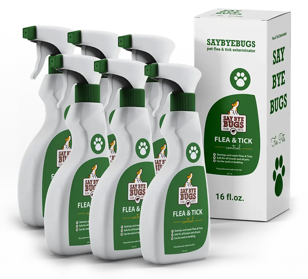 Complete Treatment Bundle - 6 Bottle Kit